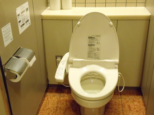 This is called a Seat Toilet.